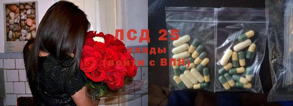мдпв Пересвет