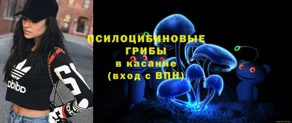 не бодяженный Абаза
