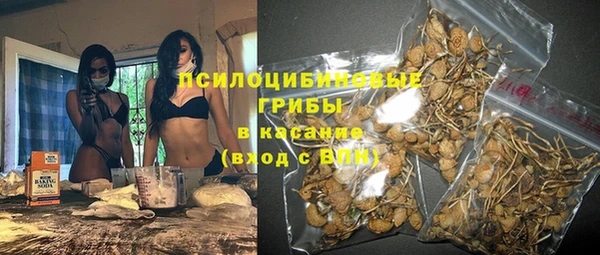 индика Абинск