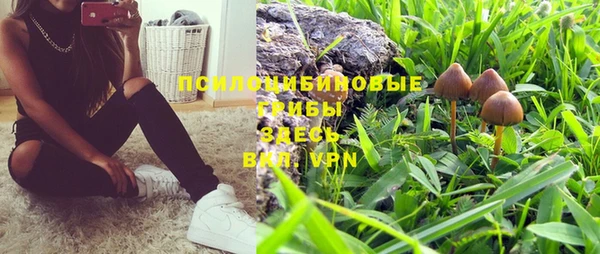 индика Абинск
