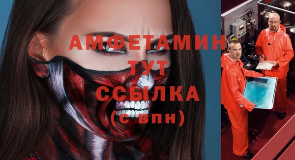 мдпв Пересвет