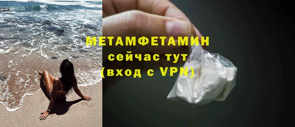 прущие грибы Пестово