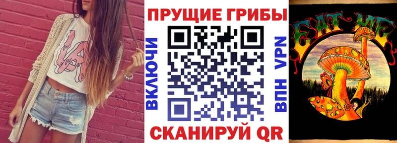 Галлюциногенные грибы Psilocybe  Дубна 